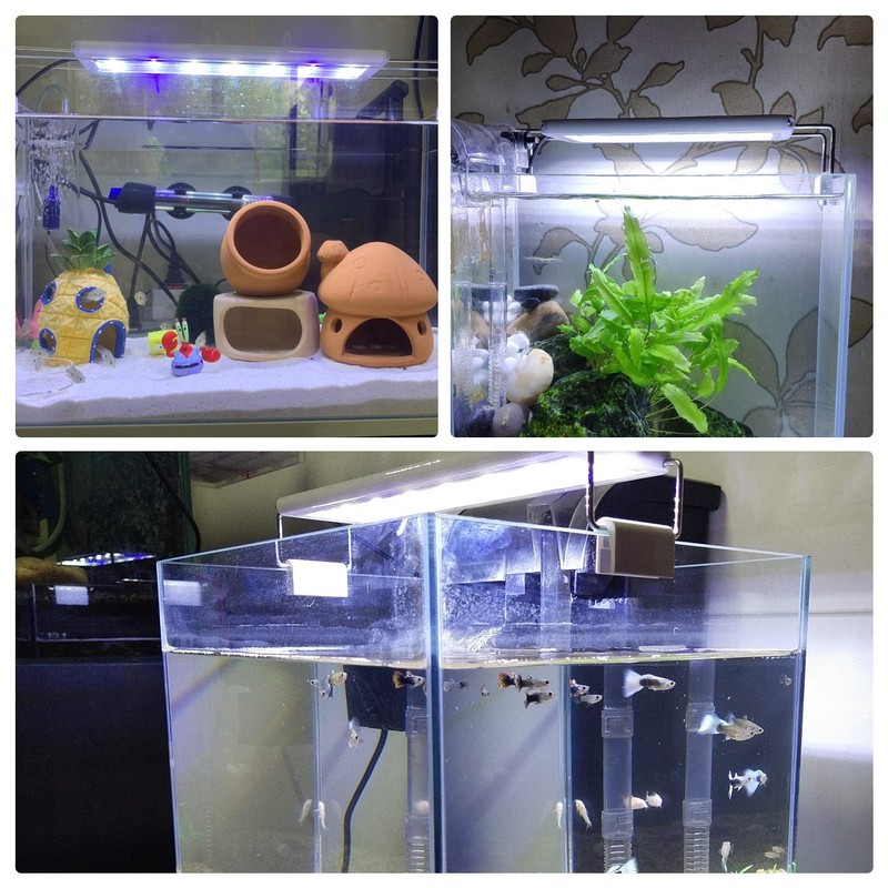 LEDGLE Aquarium Light, 8W, Aquarium Light, 11.8 - 15.7 inches