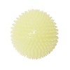 Gnawsome Glow-in-The-Dark Spiky Ball- Large 4.5"