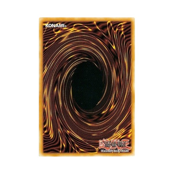 Yu-Gi-Oh! - Raidraptor - Avenge Vulture (SHVI-EN014) - Shining Victories