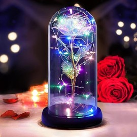 copap Ewige Rose Im Glas, Schöne und das Biest Rose, Galaxy Rose mit LED, Romantische Geschenke für Frauen, Rosen Geschenke für Geburtstag, Muttertag, Hochzeit, Abschluss, Jahrestag (Farbige Rose)