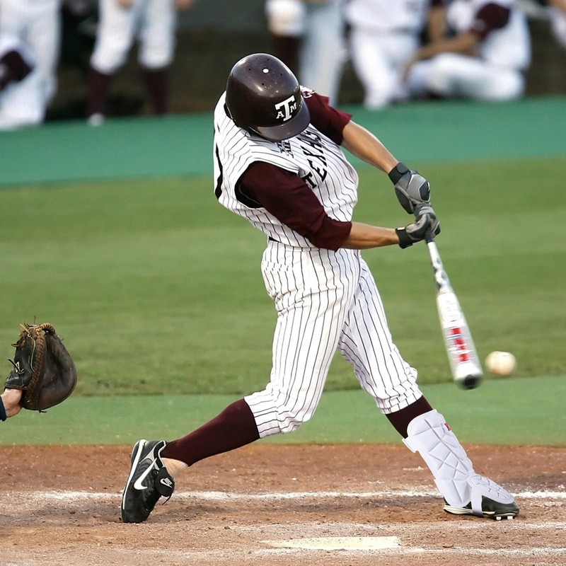 Baseball & Softball Catcher Leg Guards (White, Adult)