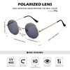 Pro Acme Retro Small Round Polarized Sunglasses for Men Women