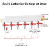 Ferroday 6 Way CO2 Gas Manifold, CO2 Gas Distributor, 5/16"
