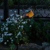 Takeda Corporation WTRG-81 Garden Solar Light Light, Gold, 3.9 x