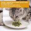 BPS® Scraper Cats Card Scraper Cats Toys Accessory Ideal for