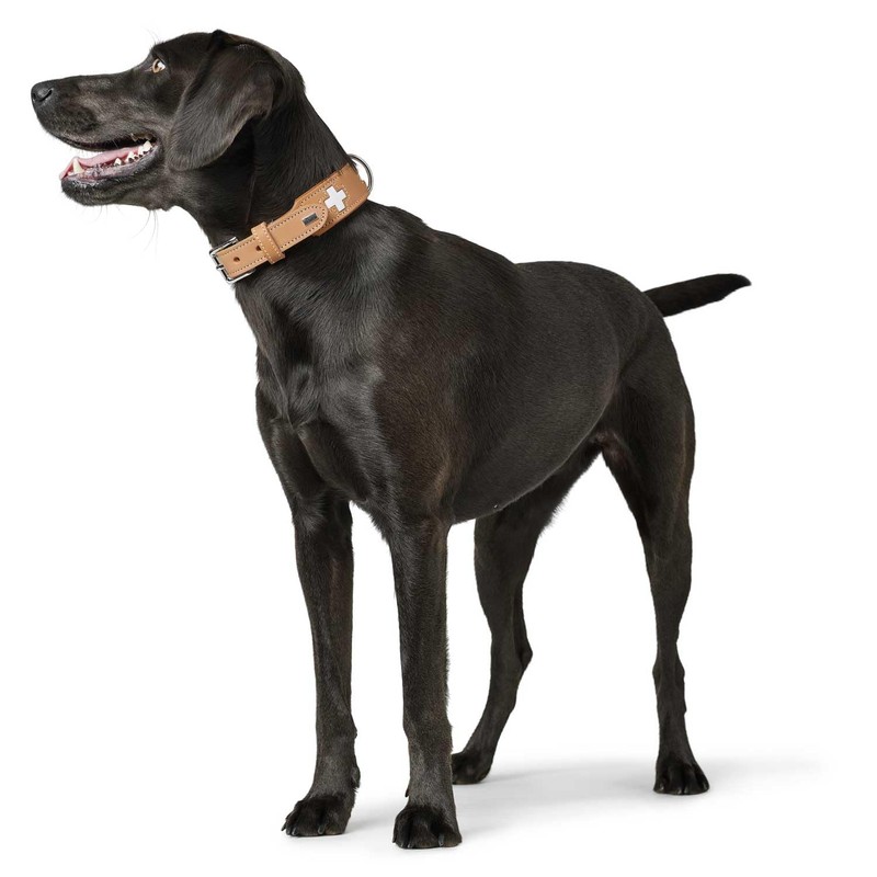 Hunter Swiss Nickel Pale Leather Collar, 41,0-49,0 cm, Natur/Beige