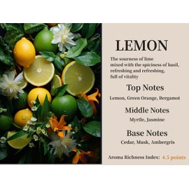 DEGUI 2Pack Lemon Scented Automotive Air Freshener Set, Car Accessories Decoration Hanging Scented Car Diffuser for Men Women Best Gifts