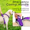ThinkPet No Pull Harness Breathable Sport Harness with Handle-Dog Harnesses
