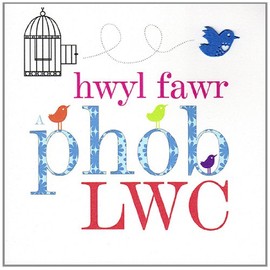 Claire Giles Sherbet Sundaes Welsh Hwyl Fawr a Phob Lwc Good Luck and Goodbye Card