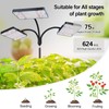 3Head 75W Standing Grow Lights for Indoor Tall Plants, Monstera