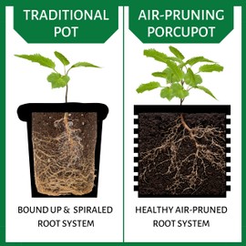 Porcupots Air Pruning Pots for Plants - Complete Grow Kit (Green Handles) - 1 Gallon Pot & 5 Gallon Pot - Promote Healthy Roots Complete Air Pruning, Re-Planting & Plant Rooting System