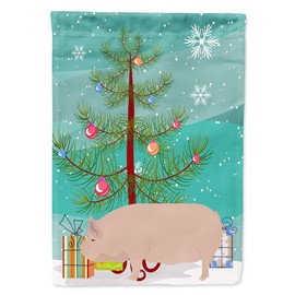 Caroline's Treasures BB9304CHF Welsh Pig Christmas House Flag, Teal Large Porch Sleeve Pole Decorative Outside Yard Banner Artwork Wall Hanging, Polyester, House Size, Multicolor