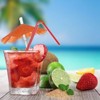 Native Spring Drink Muddler Stainless Steel Mojito Bar Tool with