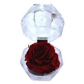 Genérico Eternal Rose in Jewelry Box, Original Gift, Preserved Red Rose, Natural Red Rose, Elegant Decoration, Loving Gift, Birthday, Anniversary, Mother's Day