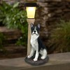 Solar Dog Garden Statues with Lantern, Resin Boston Terrier Sculpture