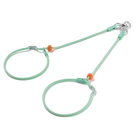 Howgo Double Slip Leash Slip Lead | Dual Dog Lead for 2 Dogs,360° Swivel No Tangle | Dog Training Nylon Leash and Collar | Double Clip Coupler and Splitter | Lightweight Aluminum (MintGreen, 3FT)