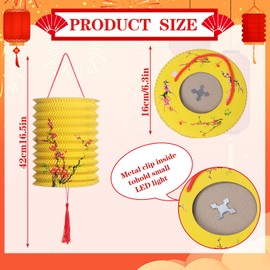 25 Pcs Chinese Paper Lantern with LED Lights Flower Bird Chinese Lantern Colorful Hanging Lanterns DIY Accordion Lanterns Lamp for Chinese New Year Middle Autumn Festival Home Courtyard Decoration