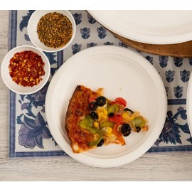 Wrap n Pac 7 inch Round Disposable Biodegradable Bagasse Sugarcane Wedding Party Plates Eco Friendly Tableware Plates (7 inch - Pack of 50)