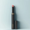 vein MAC Powder Kiss Velvet Blur Slim Lipstick 2g Rosemary, 1 piece / 맥 파우더 키스 벨벳 블러 슬림 립스틱 2g 로즈메리, 1개