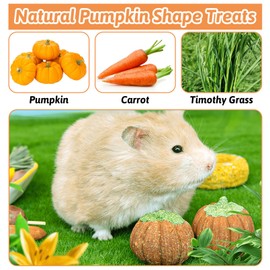 Fhiny 6 PCS Rabbit Chew Toys, Natural Pumpkin Carrot Timothy Grass Guinea Pig Chew Toys for Teeth Bunny Molar Snacks Dental Care Hamster Treats for Bunny Guinea Pig Chinchilla Hamster Gerbil