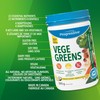 Progressive Vegegreens Pineapple Coconut Flavour 265 g, Anti-Inflammatory plus Liver