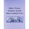 Victoria's Secret Midnight Bloom Women Body Lotion Vainilla 8 oz