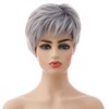 AIYLMZ Short Grey Wigs with Pixie Cut and Fringe for
