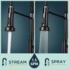 FORIOUS Black Kitchen Faucet with Pull Down Sprayer 2 Modes
