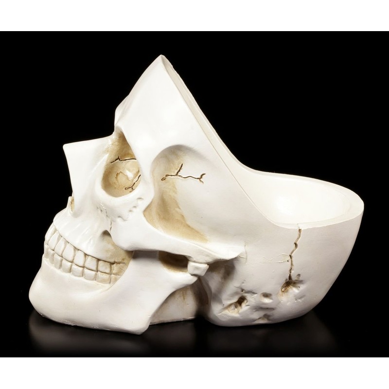 White Skull Bowl Decorative Fruit Bowl Skull