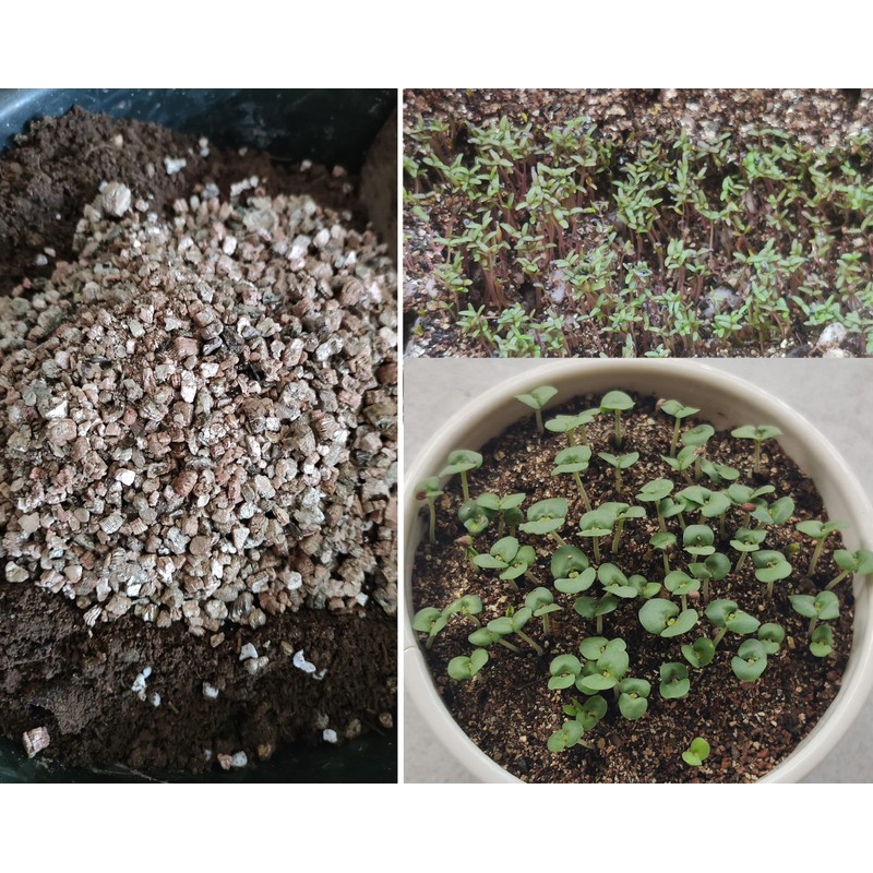 10QT Organic Vermiculite Granules for Plants and Gardening