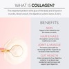 Alaya Multi Collagen Powder - Supports Hair, Skin, Nails &