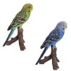 Green Budgerigar