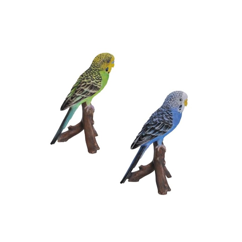 Green Budgerigar