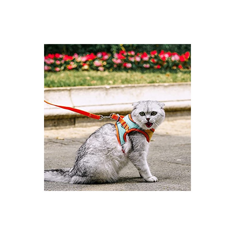 JSXD Juego de arnés para gato, correa y collar, arnés