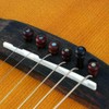30pcs Cocobolo Guitar Bridge Pins, Vintage Style, Slotted w/Green Abalone
