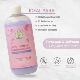 Shampoo Ceramidas Y Ácido Hialurónico Productos Mart Mexico 500 Ml
