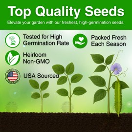 50+ USA Premium Winged Bean Seeds for Planting, Non-GMO Seeds – High-Yield, Nutritious, Tropical Climbing – Non-GMO, Heirloom Vegetable Dragon Four-Angled Bean