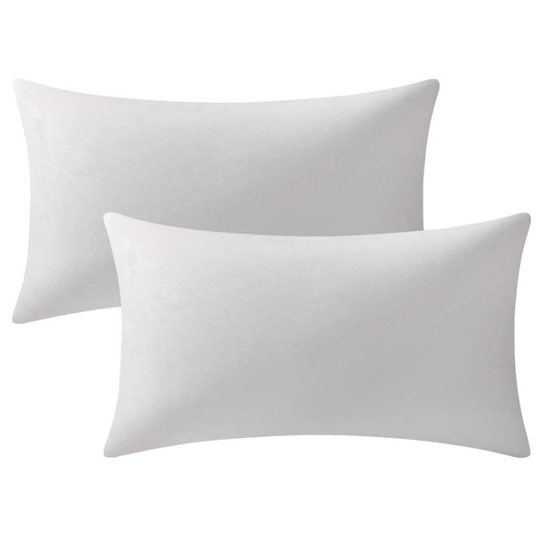 DEZENE Decorative Pillow Cases 12x20 Off-White: 2 Pack Cozy Soft Velvet Rectangular Throw Pillow Covers for Farmhouse Home Decor