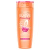 L'Oreal Paris, Shampoo Dream Long Elvive 370 Ml