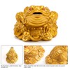 Wschic Feng Shui Money Frog, Lucky Money Toad Decorations,Ideal for