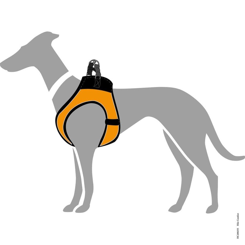 HUNTER HILO COMFORT harness for small dogs, with mesh material