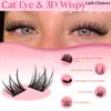 Eyelashes Wispy Lashes Individual Cluster Lashes Kit 154pcs Lash Clusters