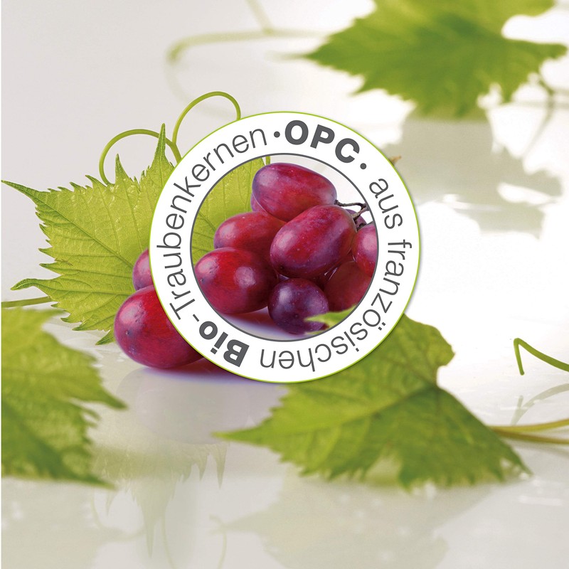 eco cosmetics Bio CC Cream Day Cream Tinted with OPC,