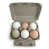 Half Dozen Egg Cartons- Henlay Blank Flat Top Six Pack