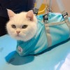 Cinf Cat Bathing Bag(Free Muzzle) Breathable Mesh Anti Scratch Adjustable