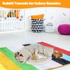BWOGUE Bunny Tunnel Bed, 2-in-1 Collapsible Tunnel Tubes Toys with