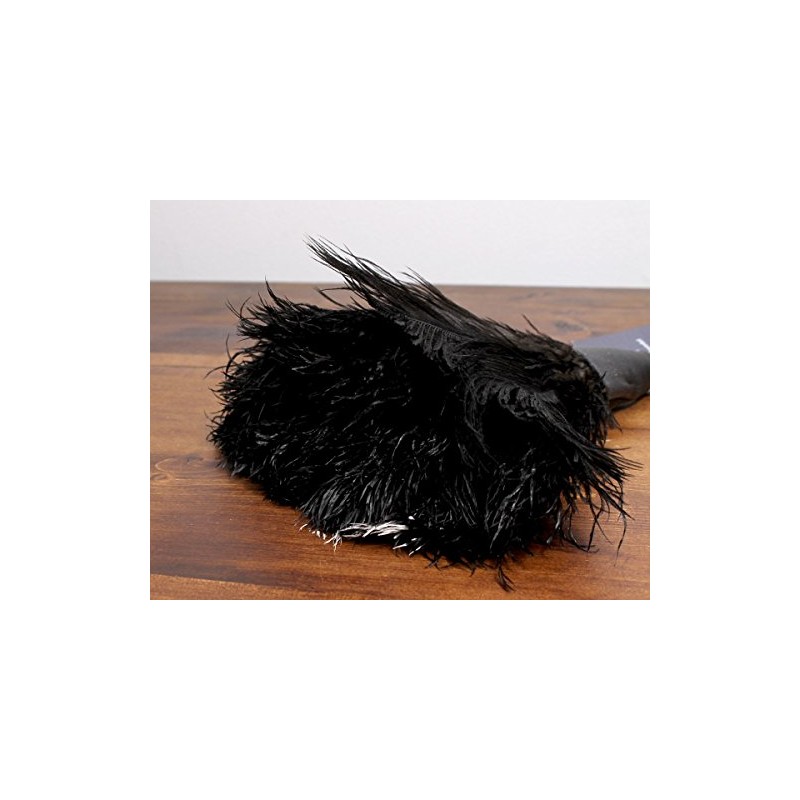 Redecker Ostrich Feather Duster, 13.8 inches (35 cm), Black