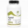 Figwort Root 900mg // 180 Capsules // Pure // by