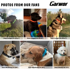 Garwor Reflective Dog Collar with Double D-Ring, Soft Neoprene Padded, Extra ID Tag D-Ring Attached, Buckle Adjustable Safety Nylon Pet Collars for Large Dogs(L, Hotpink)