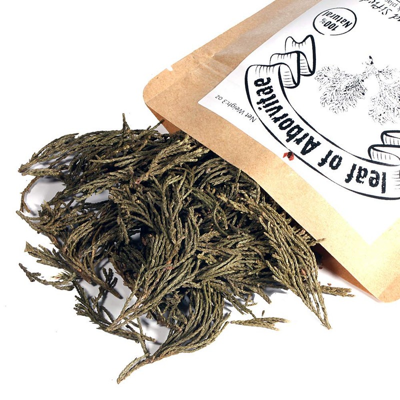 EidolonGreen [China Medicinal Herb] 100% Natural leaf of Arborvitae (Green